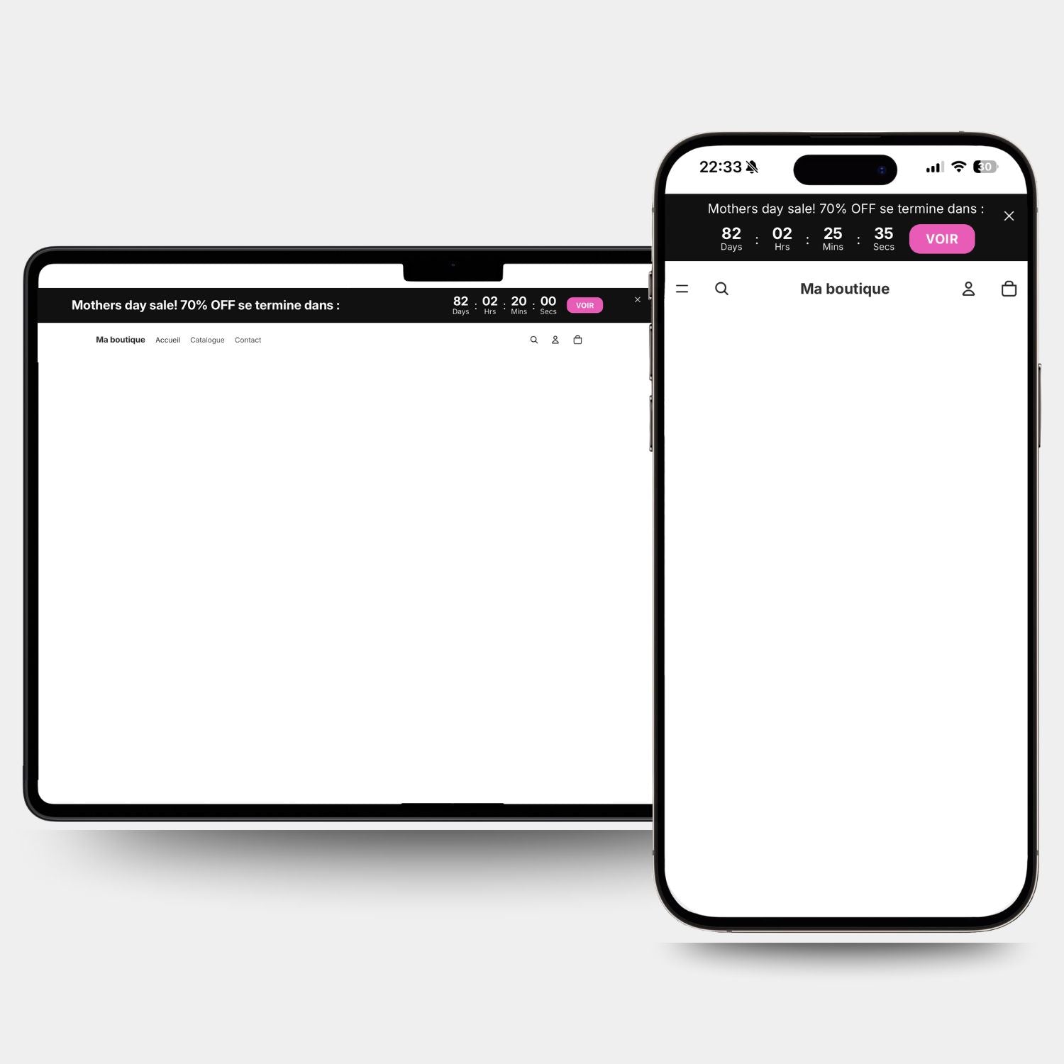 Section #4 - Countdown Bar