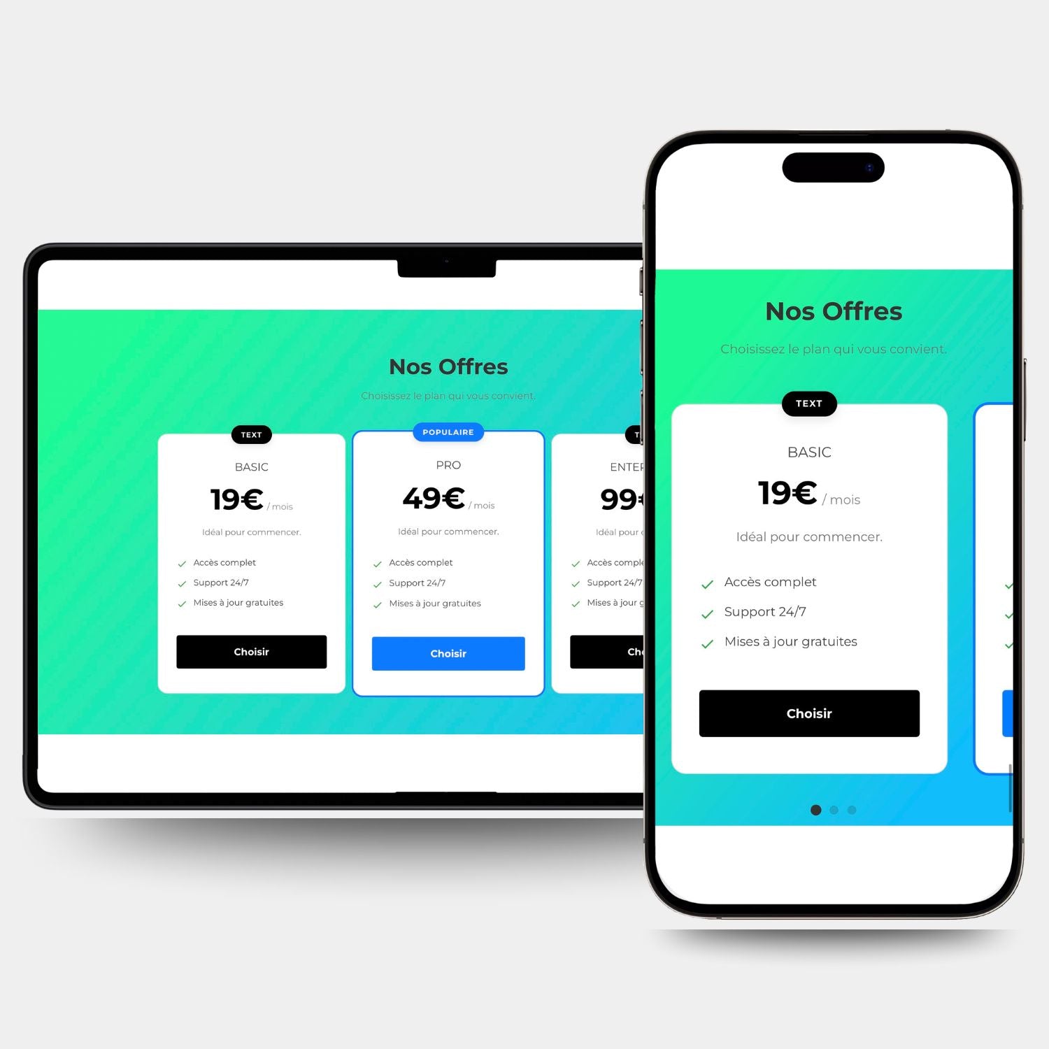 Section #69 - Pricing Table