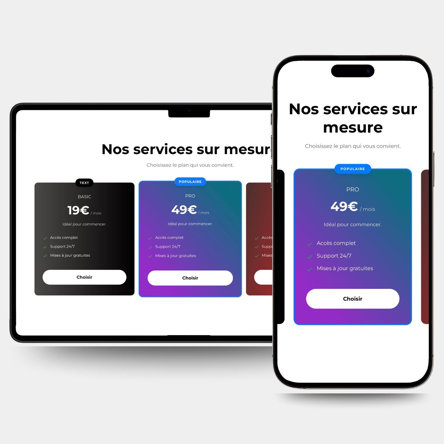 Section #69 - Pricing Table